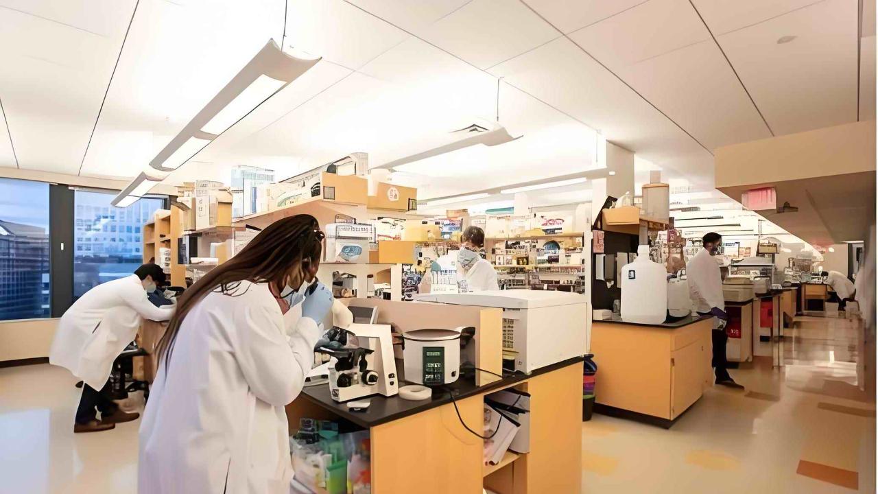 不是所有 HIV 都要终身治！<自然期刊> 发现：早期有 “关键免疫细胞”，或能告别 ART