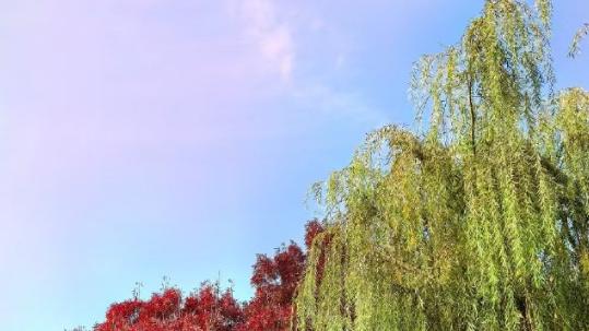 先主动就输了是最大的误解：聪明女人都这样反转