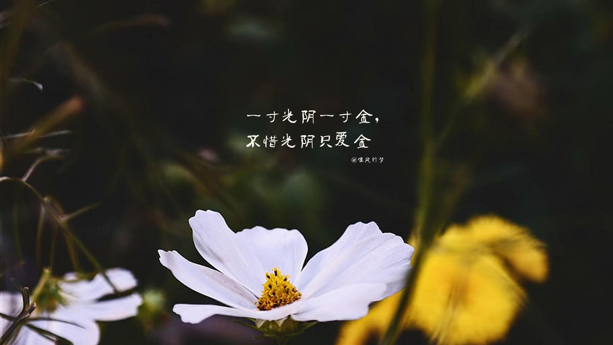 经验是好事，可使人防患未然，经验未必好事，可使人杯弓蛇影