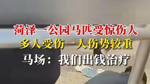 女孩公园被马撞飞后续，马场：会出钱治疗，家属：没收到治疗费？