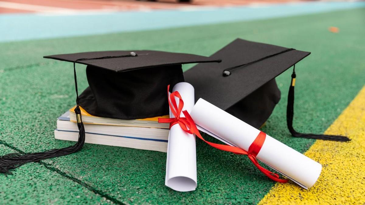 2026山东单招超全指南：政策、院校、备考一步到位！|题芽单招