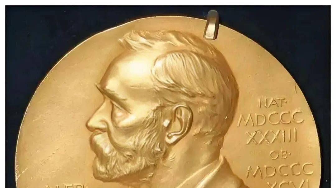 理性观照下的中国当代文学与诺贝尔文学奖/史飞翔