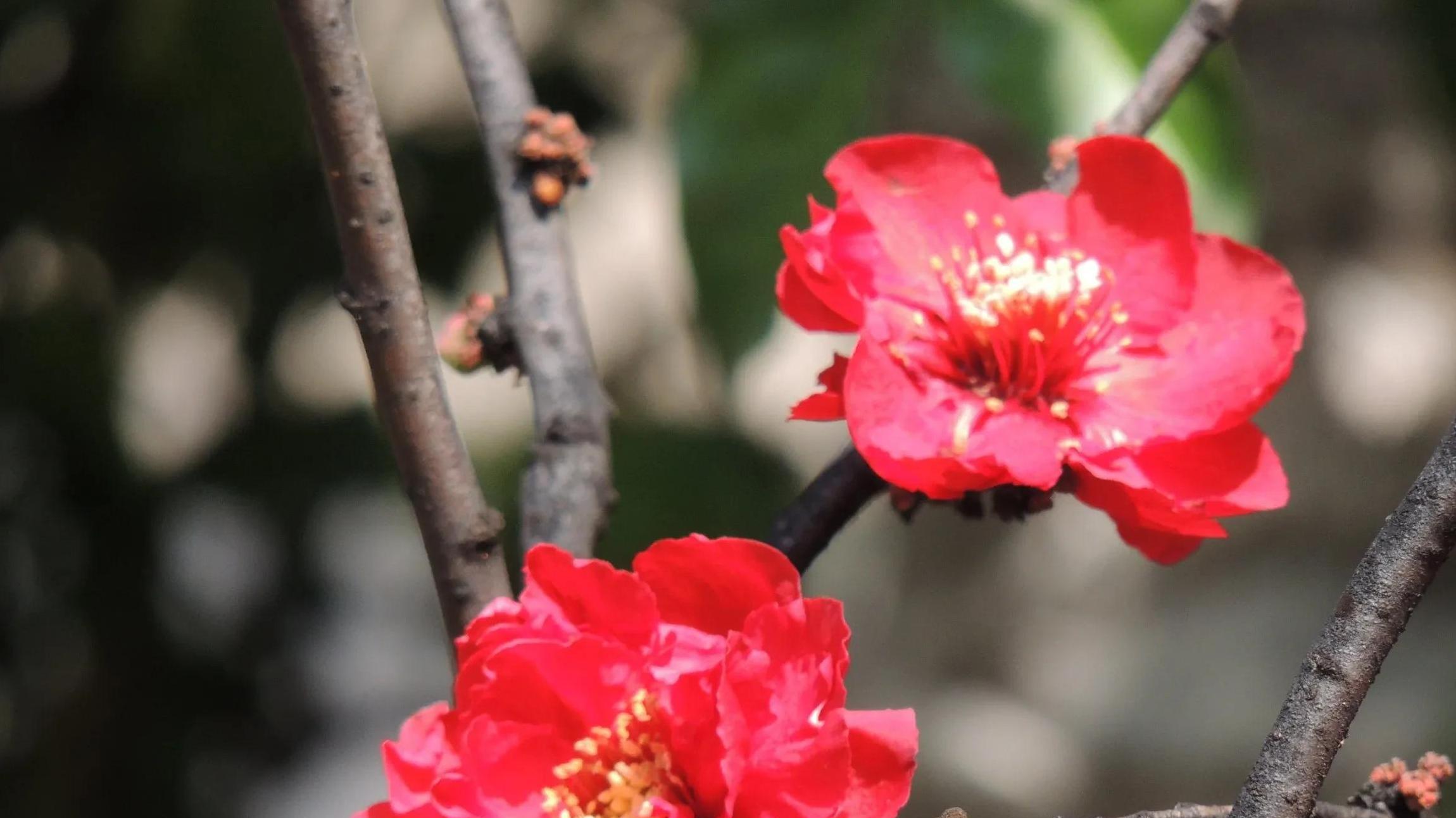 现代婚恋：爱与金钱的微妙平衡