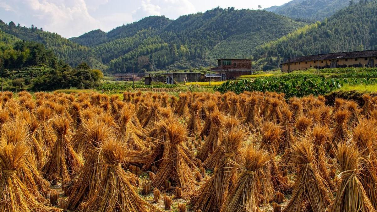 12月单招冲刺：现在拼一把，明年直接上岸心仪院校！|题芽单招