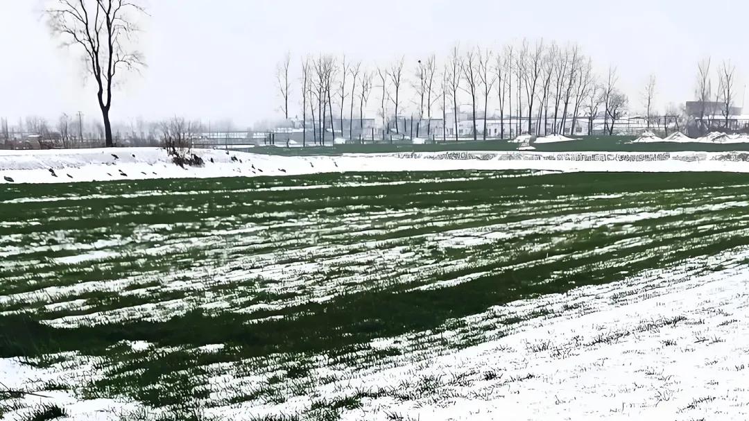 “最怕冬至一日晴”，今日冬至，为何怕晴天？看完农谚才明白全是智慧