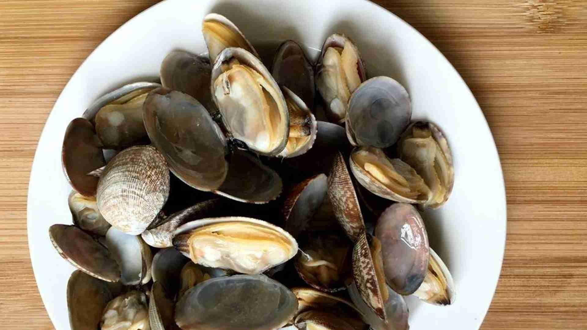 文蛤敌害生物防治，山东滩涂围网养殖，螃蟹入侵应对法，定期清淤别拖延