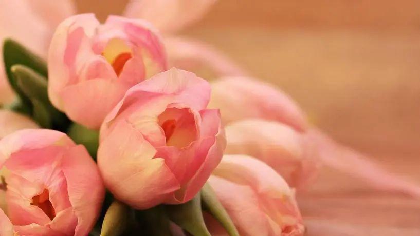 跟老公老婆相处，这2件事千万别傻乎乎的！