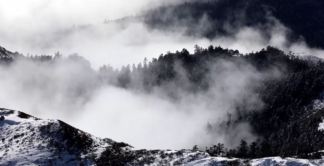 初雪为笔，彩林为卷！冰雪覆盖的石卡雪山美成仙境