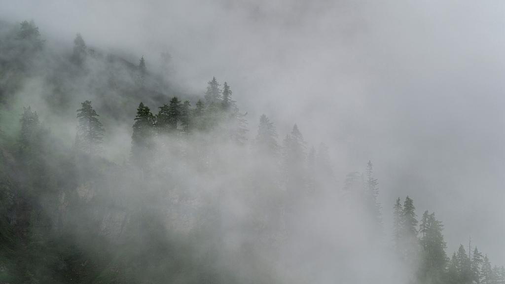 茶陵神秘客家部落生活散记：阿家的浸淹