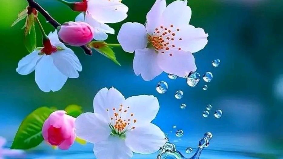 八字中的“警示灯”：这些特征，暗示你需防官非牢狱