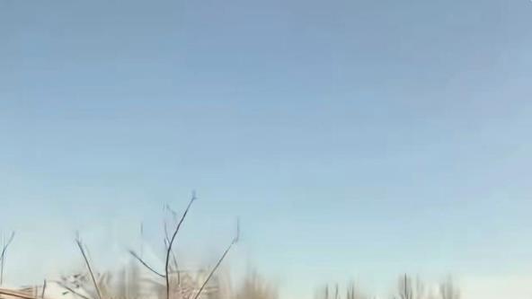 吉林松原刑事案件嫌疑人姚某被抓捕归案