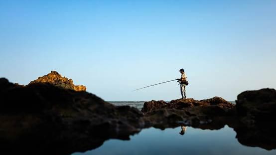 硫化物超标致鱼死亡！应急检测攻略