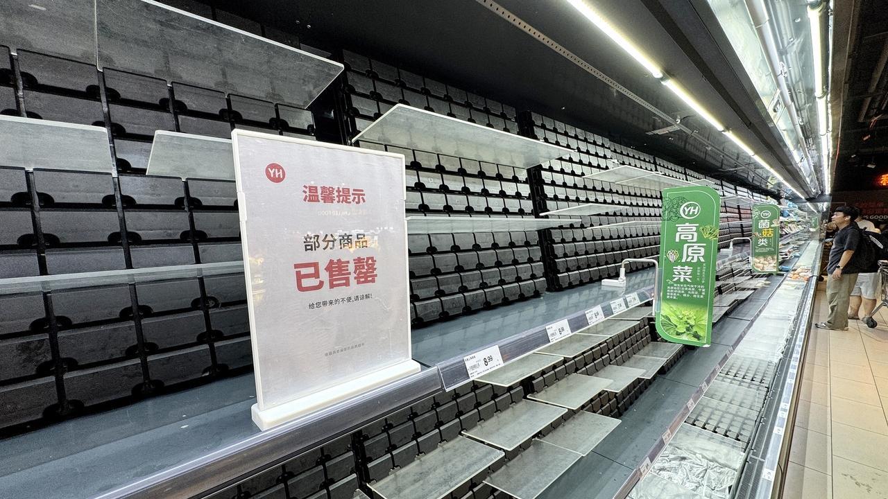 菜抢空时，菜农说 “照常送菜”：这场桦加沙台风，让我读懂了理性与温情的重量