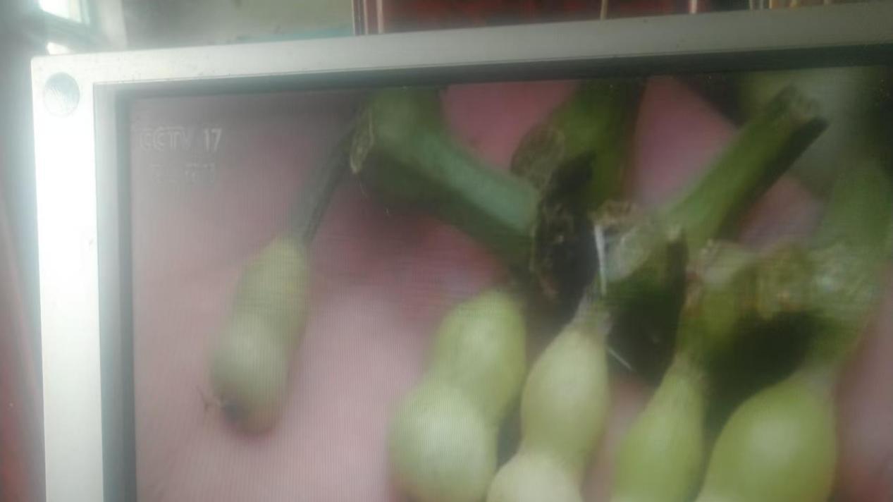 长沙地面波更新一组高清节目信号源