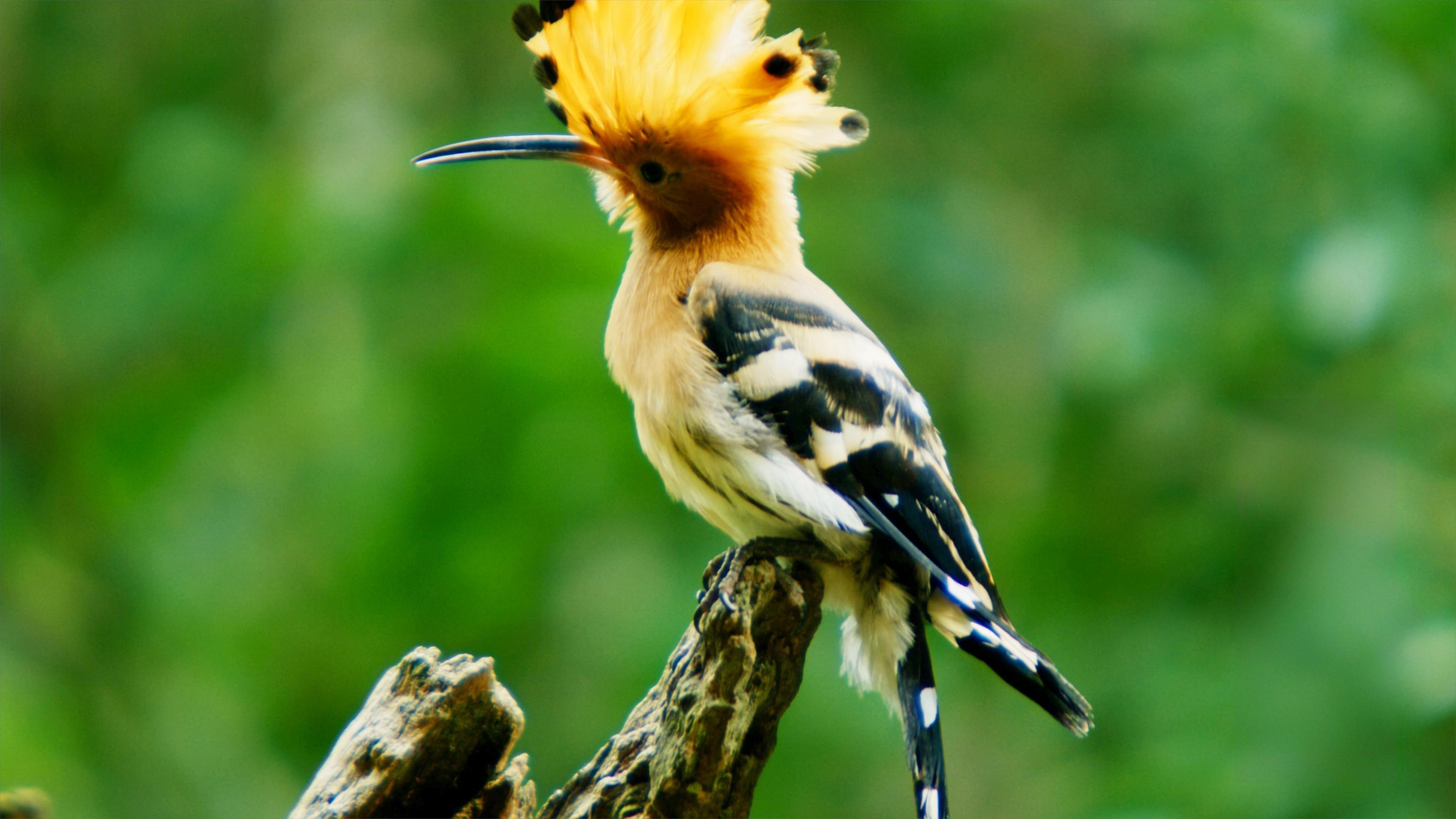 三维生万物，万物皆三维；人心也有大小、高低、远近、纵横等维度