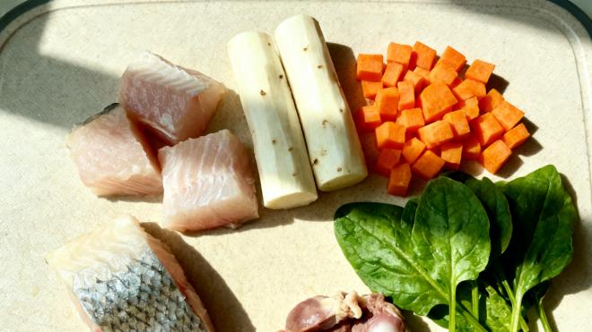 自制猫饭低敏配方推荐！适合肠胃敏感猫咪的温和饮食方案