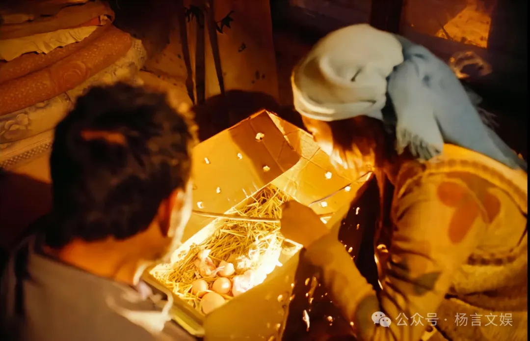 《隐入尘烟》：再见容易，再见却很难。