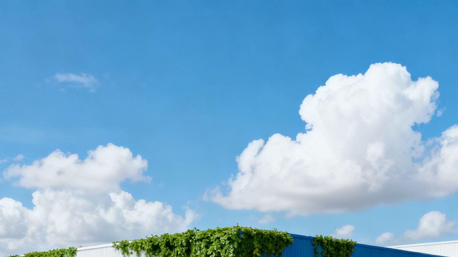 华为巴西建厂实录：用甘蔗乙醇发电躲过碳关税，月产基站5万台