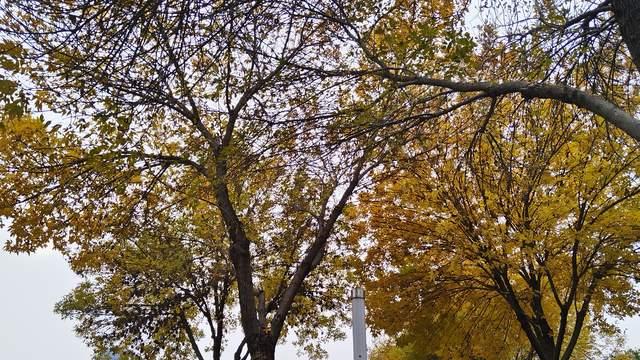 家长对孩子最好的教育，不是说教和催促，而是狠下心坚持抓习惯