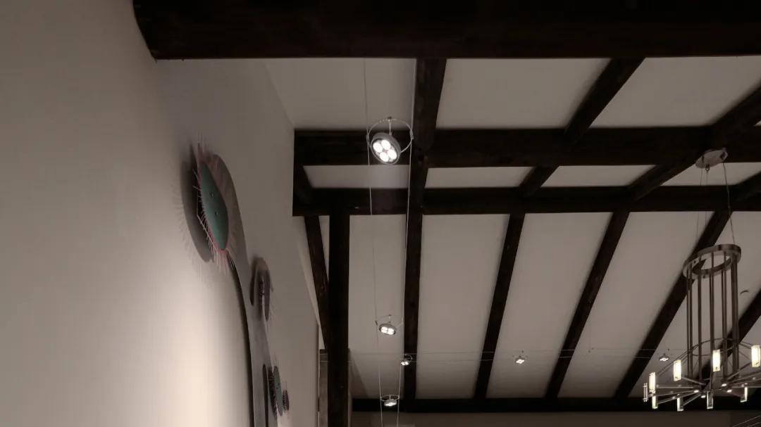 建筑“退化”论，闽南古厝里爬出“草履虫”