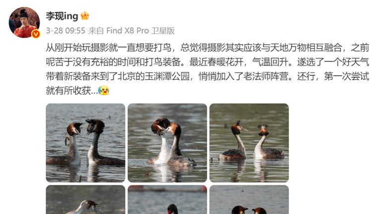 演员李现摄影作品引发