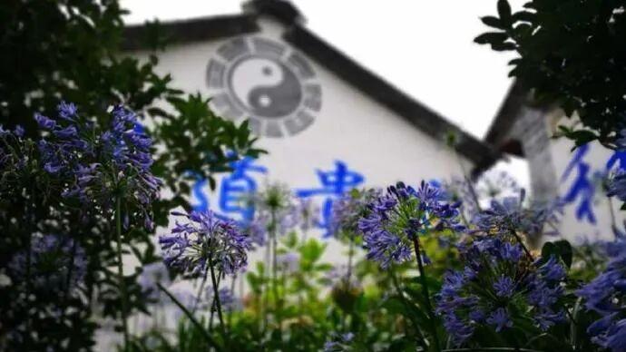 “强梁者不得其死”之我见（一）