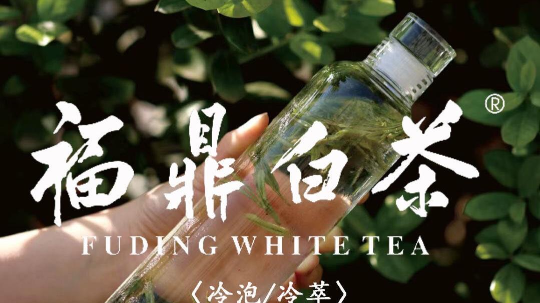 老白茶总泡成刷锅水？4大雷区+4种神仙喝法，让你秒变冲泡高手！