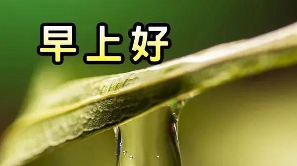 一句简单的早安，蕴含着我满满的关怀与祝福