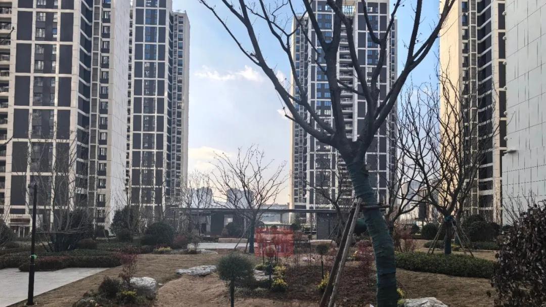 青岛国企盘，“三无”交房！各种骚操作……