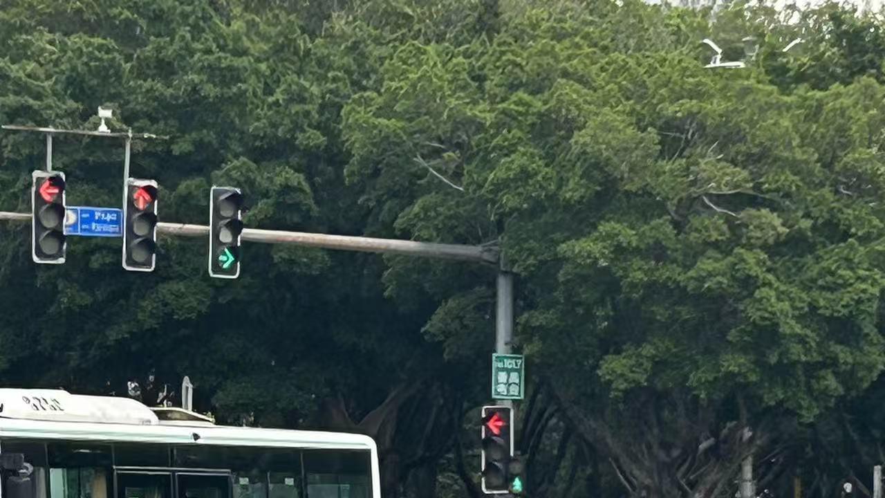 打工人一直都是在为别人而打工