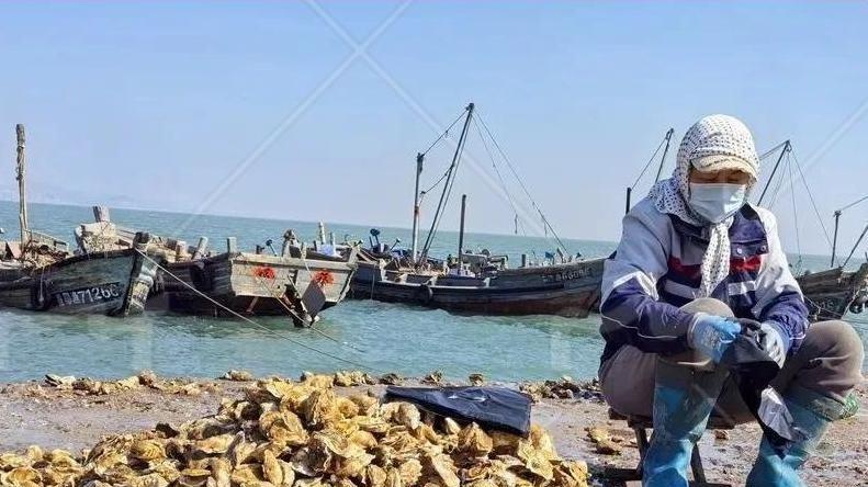 鲅鱼一上岸就被抢购，这个市场每天交易数万斤，为什么青岛人都爱它？