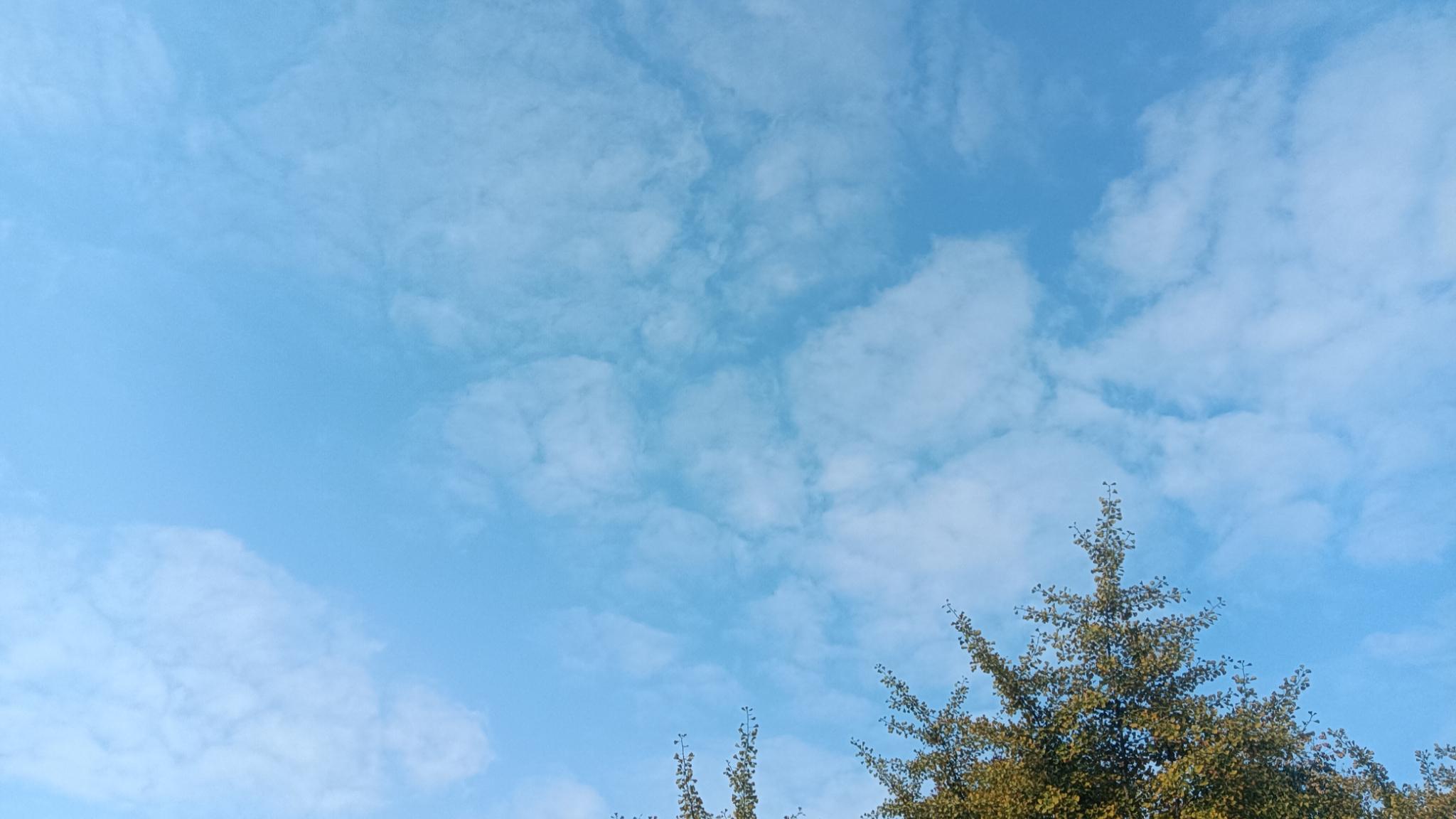 两笔费用发放时没能按规定向一线教师倾斜，猜猜看倾斜偏向谁了？