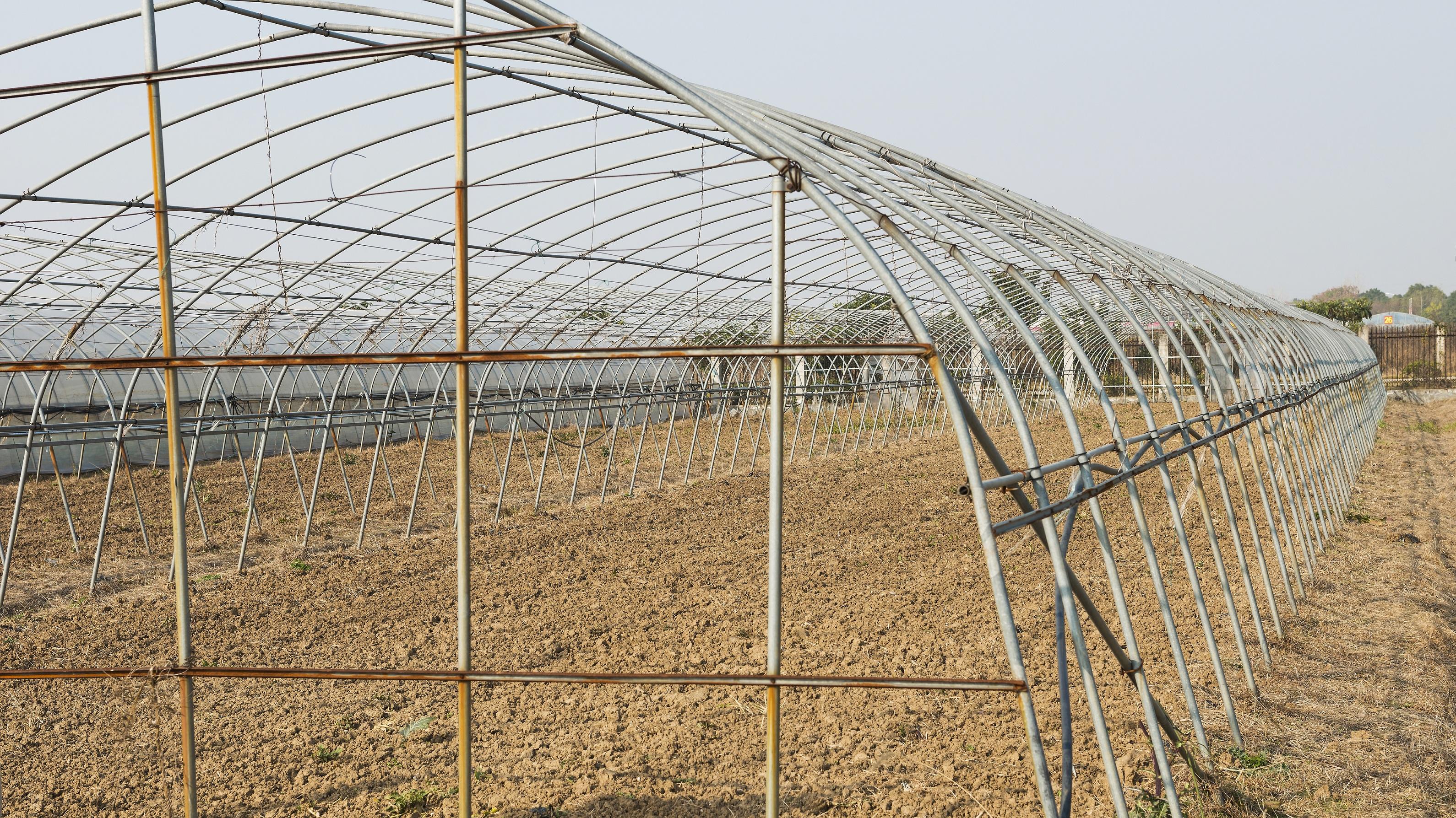 当世界在“内卷”，我们选择“开卷”