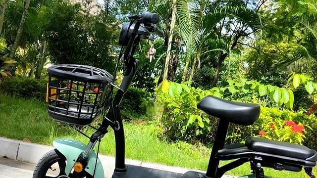 都是电动车，一线品牌价格2000元，为什么杂牌车却只有799、899？