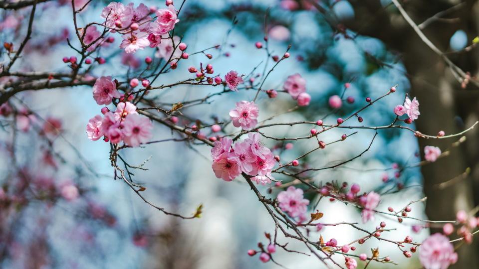 我住在女儿家，200万拆迁款2个儿子和1个女儿各60万，女婿让我搬走，我觉得我没错