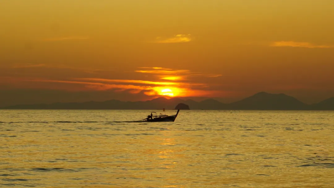 把情绪关在笼子里