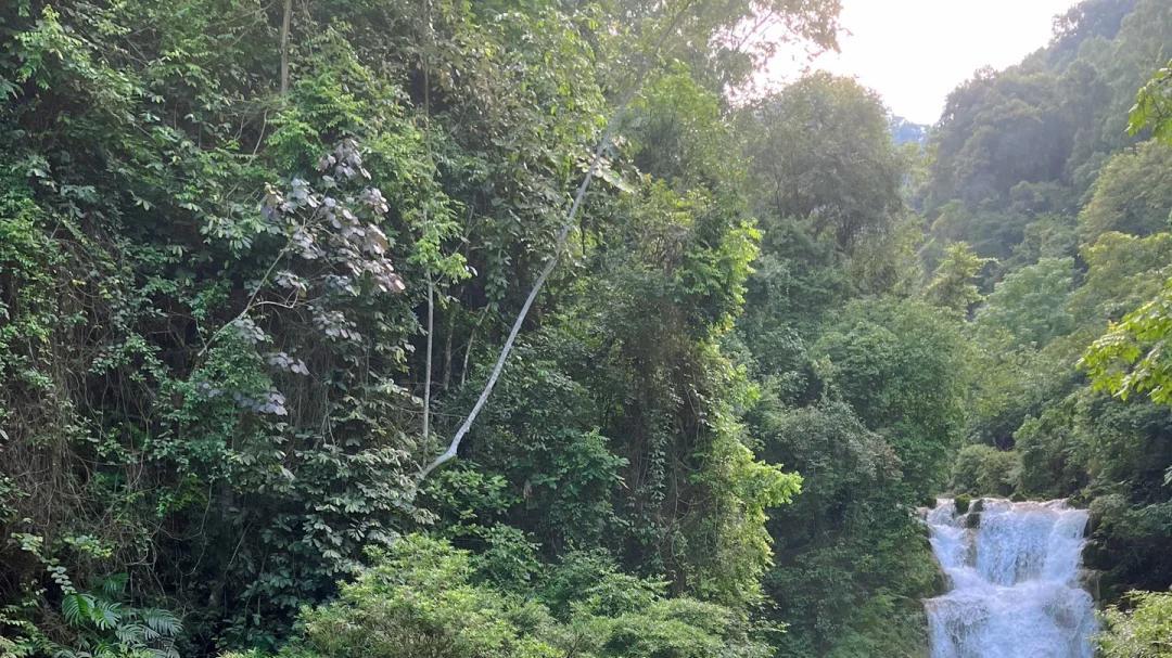 贵州旅游必去9大景点，每一个都太美太震撼！内附超全攻略
