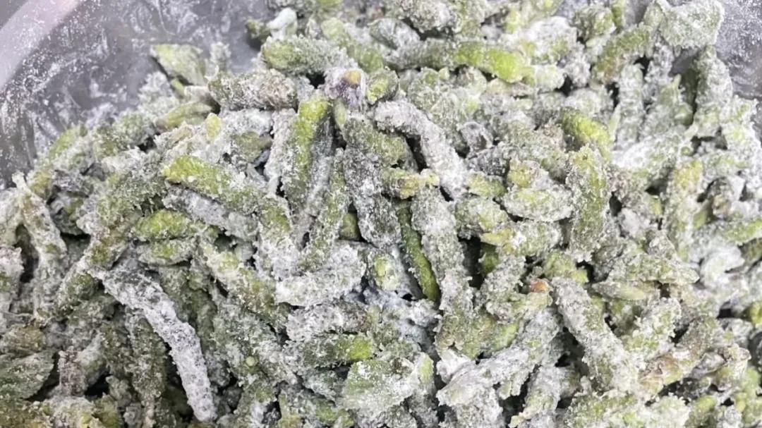 春天，遇见这菜使劲吃！比荠菜营养，比韭菜鲜香，不懂吃亏大了！