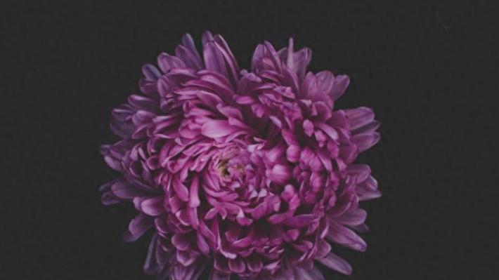 亲情债！她每月寄三千，父母却要她出五十万给弟买房，值吗？