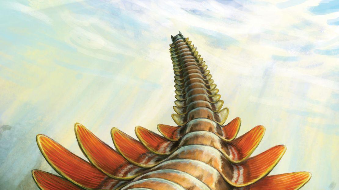 古老的三眼捕食者“不同于任何活着的动物”