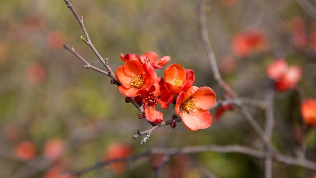 《一字一句读红楼》：经典中的情谊