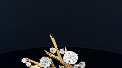 瑰丽汇聚，珍品云集，六月香港珠宝展参观登记现已开放！