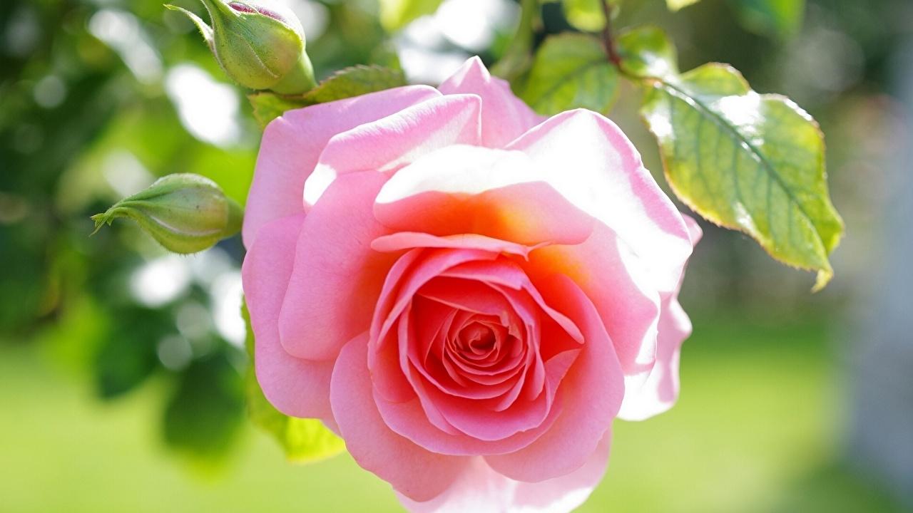 接纳不完美，是人生变好的开始