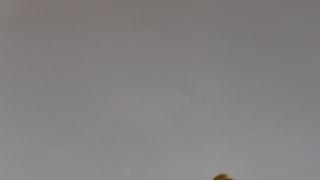 太行烽火恋：三拒说媒的女干部与铁血团长的革命情缘