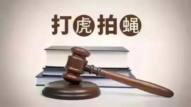 宁夏石嘴山市卫生健康委员会原副主任钱丽被查，曾是抗疫模范！