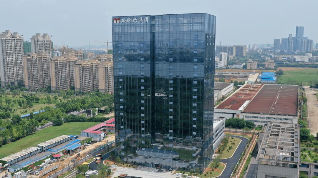 双胞胎集团：营收破千亿却深陷污染泥潭，多家子公司成为被执行人