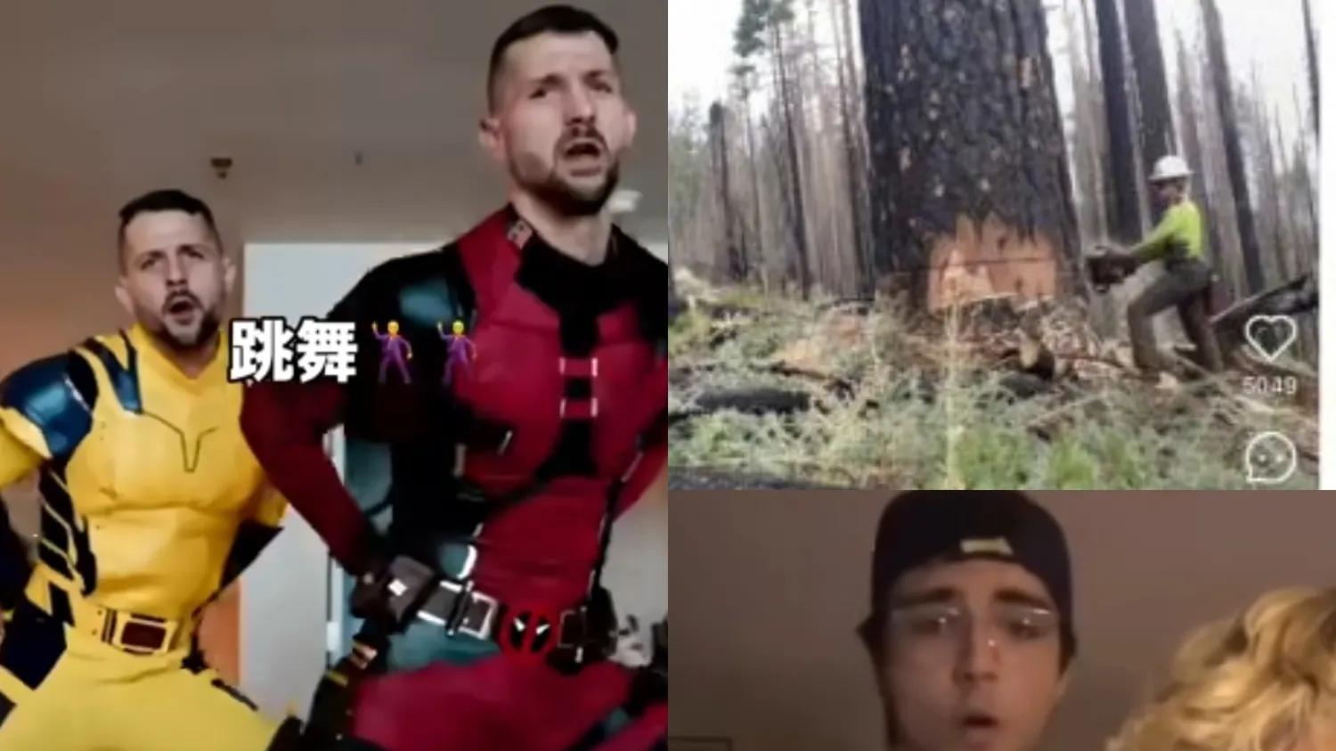 笑到打鸣！小红书开启“嫡长外”之争，网友: “还知道淀粉肠？”