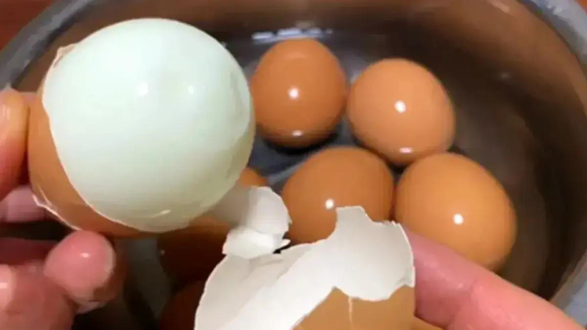 鸡蛋煮几分钟合适？控制好时间，鸡蛋出锅不干硬，鲜嫩好吃