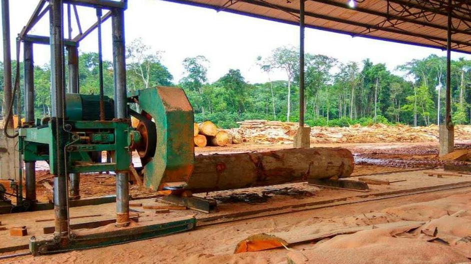 木材暴跌22.9%！中资集体停产背后，正压垮非洲国家出口