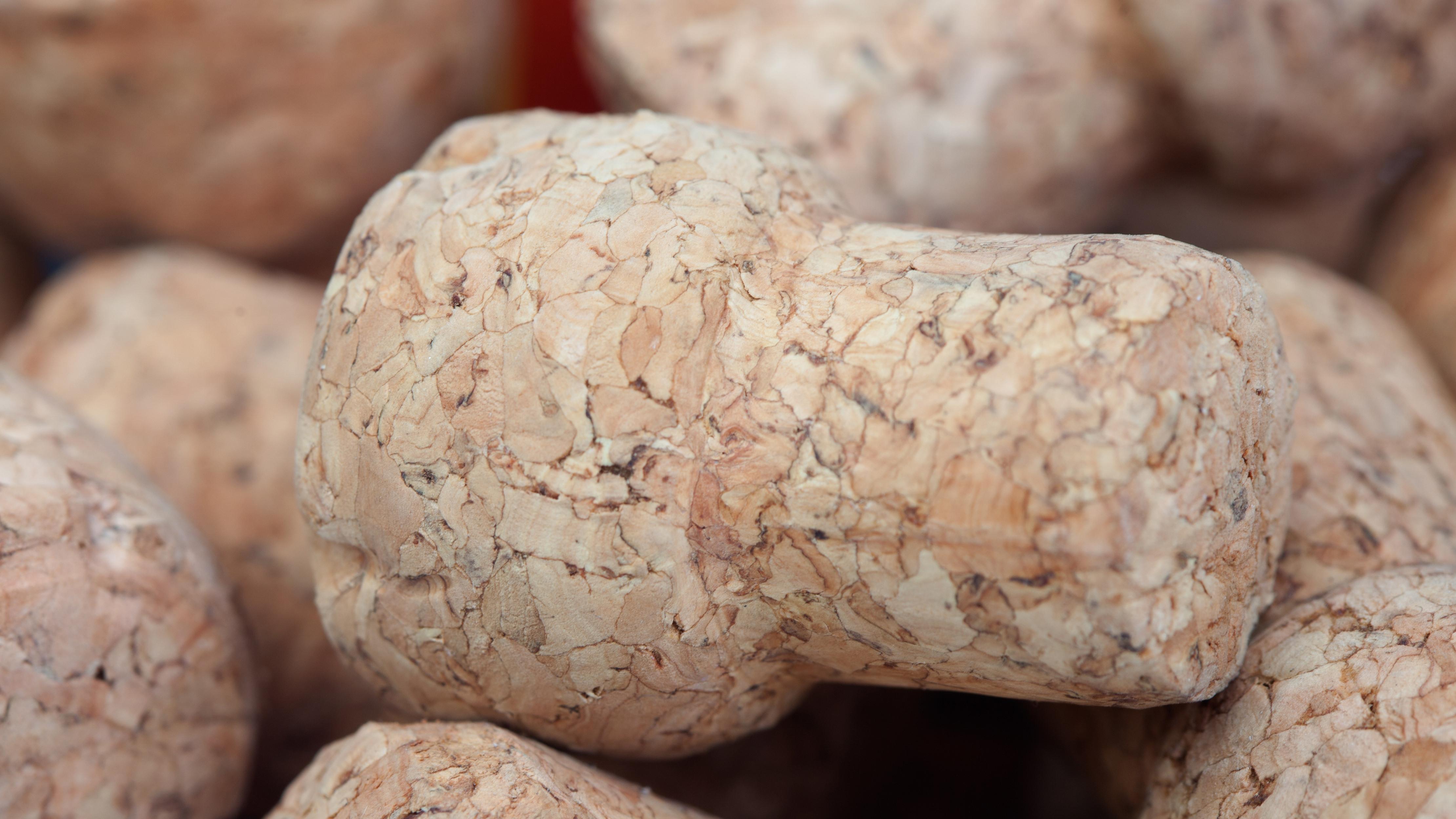 家长的钱包终于“有谱”了